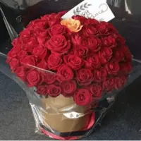 «حنظله» برای دانشمند هسته‌ای اسرائیلی گل فرستاد