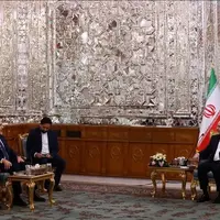 وزیر خارجه ترکیه با رئیس مجلس دیدار و گفتوگو کرد