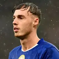 ضربه سنگین؛ پالمر در جام جهانی غایب است؟