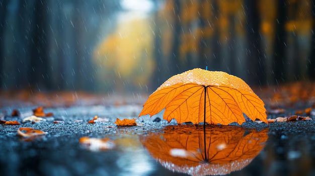 احتمال بارشهای پراکنده در استان یزد