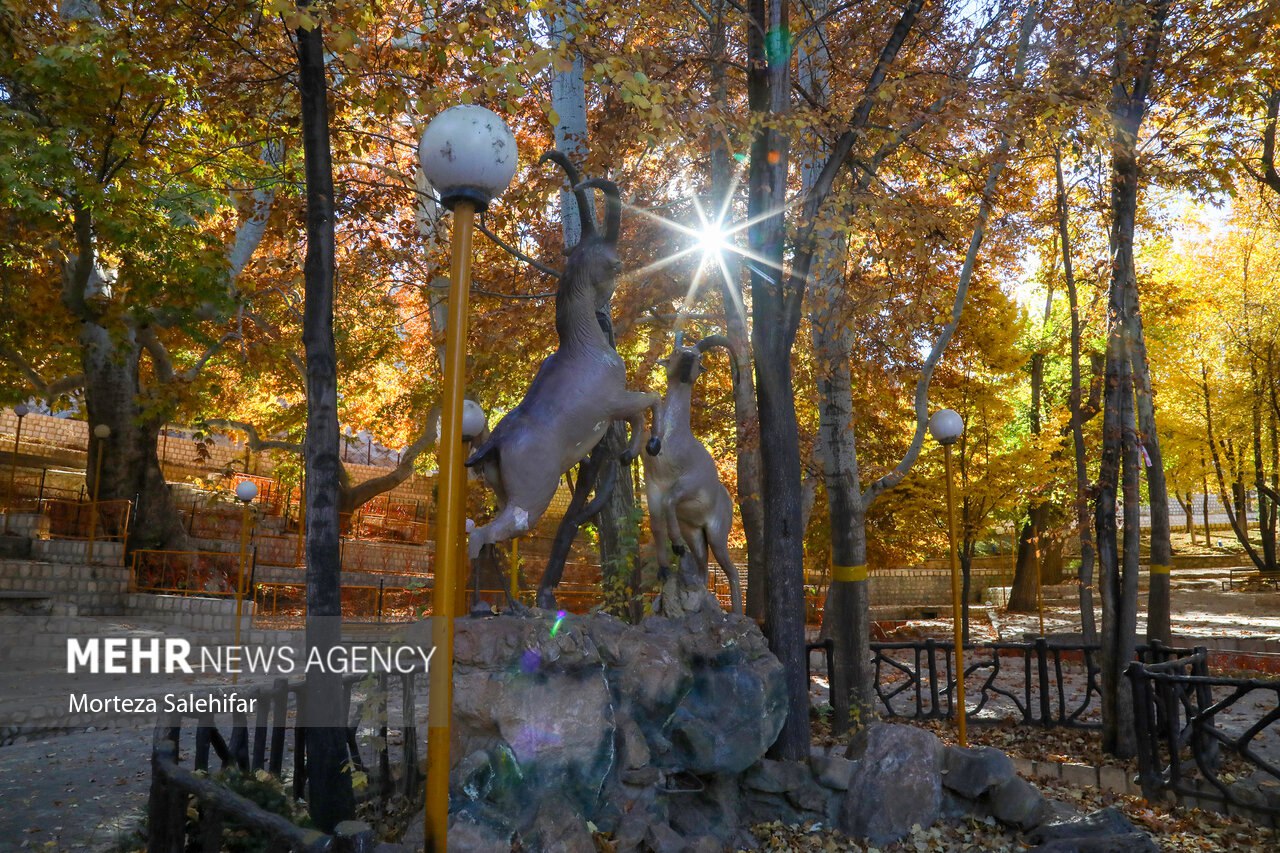 طبیعت پاییزی سیاسرد بروجن