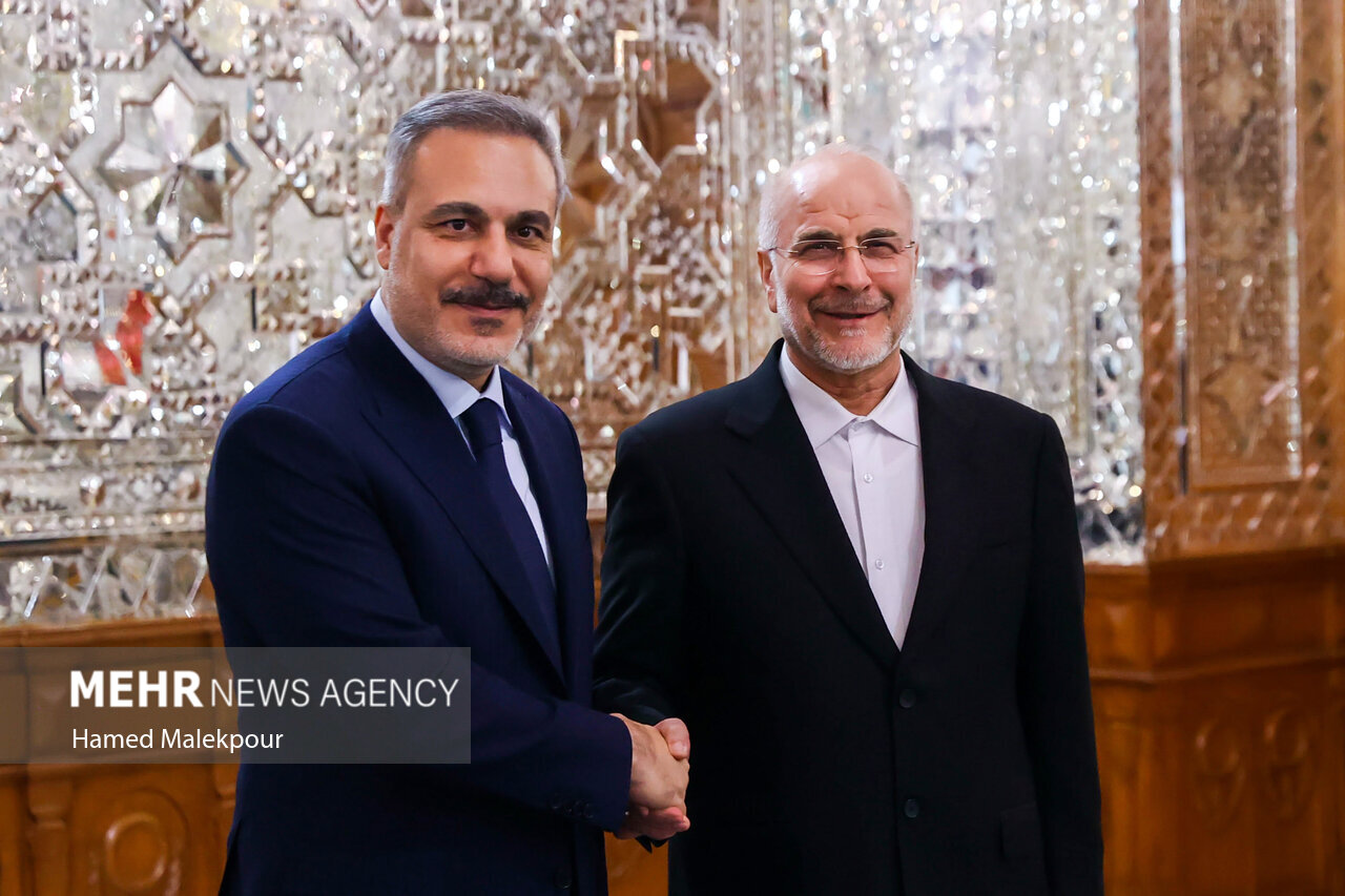 عکس/ دیدار وزیر امور خارجه ترکیه با رئیس مجلس شورای اسلامی