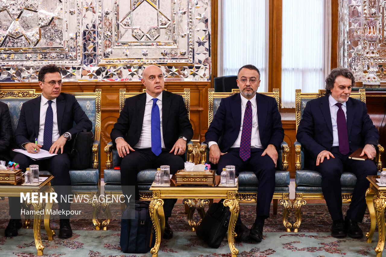 عکس/ دیدار وزیر امور خارجه ترکیه با رئیس مجلس شورای اسلامی