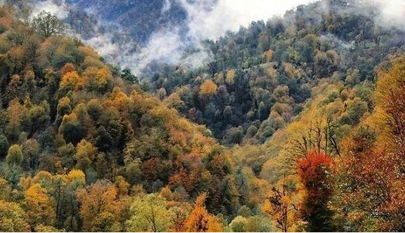 جاده چالوس بازگشایی شد؛ ترافیک در هراز