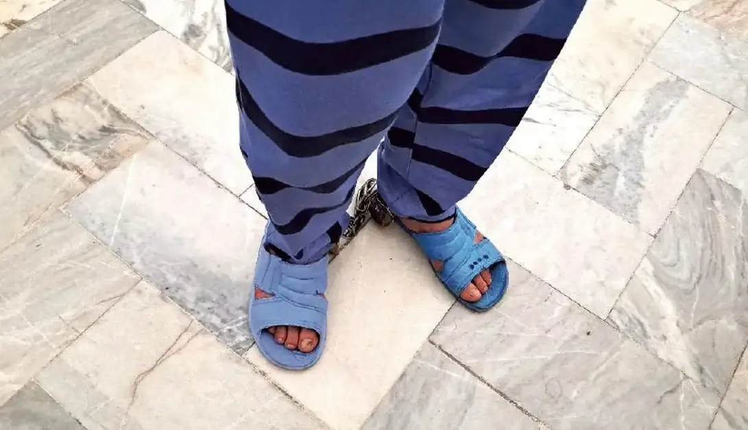 شلیک نگهبان باغ به زندگی قاتل فراری پایان داد