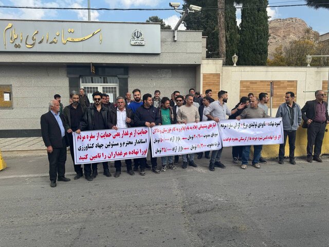 گلایه مرغداران ایلام از کمبود سویا و نهاده دامی