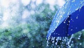 احتمال بارش پراکنده باران روی سواحل استان بوشهر