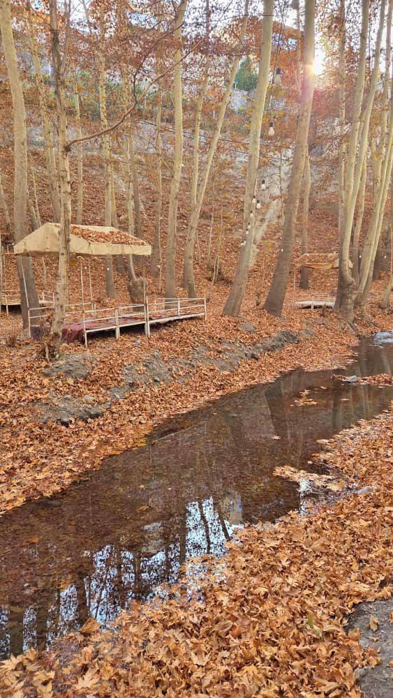 طبیعت زیبای پاییزی شاندیز 