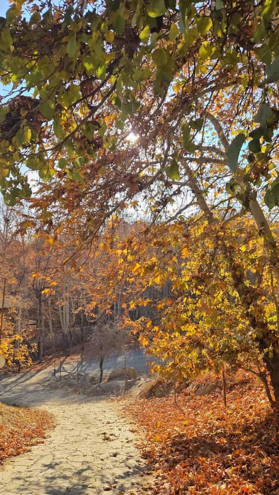 طبیعت زیبای پاییزی شاندیز 