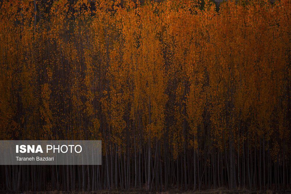  اَلِشتَر؛ تابلوی زنده پاییز در قلب زاگرس