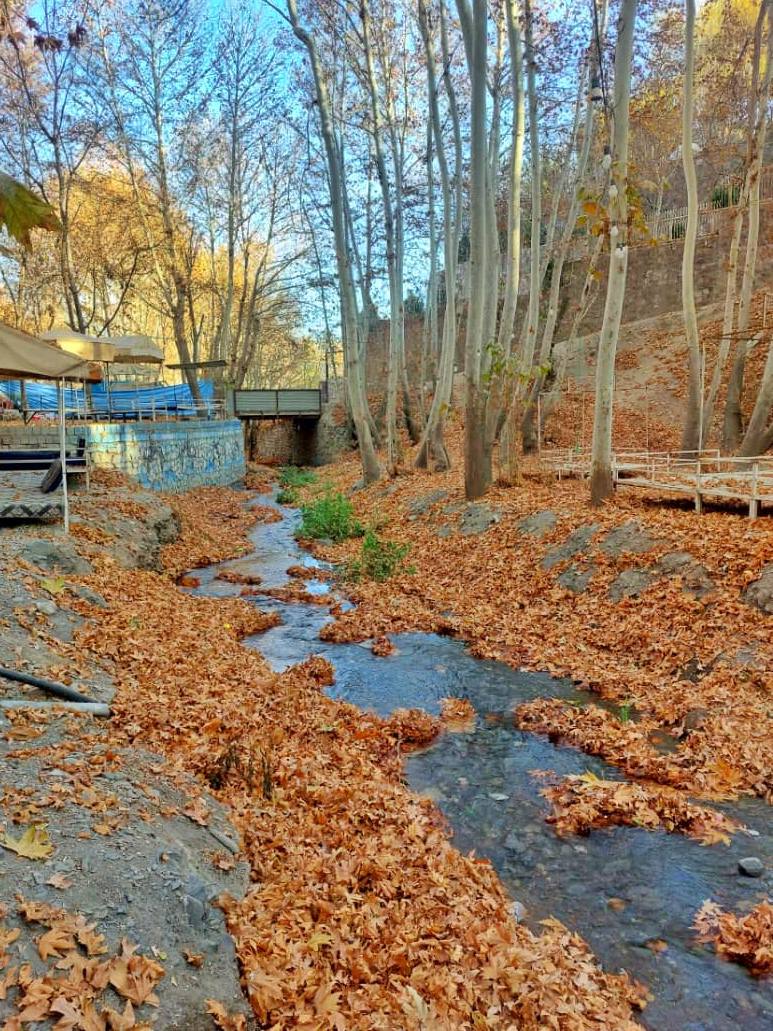 طبیعت زیبای پاییزی شاندیز 