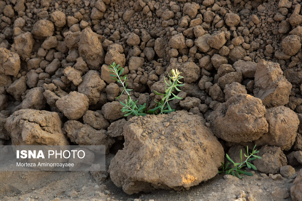 عکس/ بحران زمین و آب در قلب خراسان