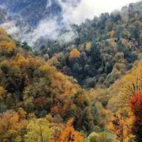 جاده چالوس بازگشایی شد؛ ترافیک در هراز