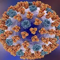 تفاوت علائم بیماری آنفلوآنزا و آلودگی هوا چیست؟