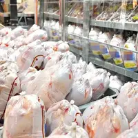 توزیع بیش از ۱۱۰۰ تن گوشت مرغ از مازندران در بازار کشوری