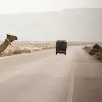 تصادف خودرو با شتر در شیبکوه موجب درگیری خونین 2 طایفه شد