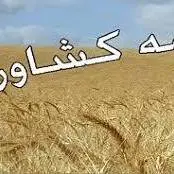 پرداخت خسارت بیمه محصولات کشاورزی در خانمیرزا