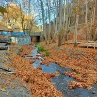 طبیعت زیبای پاییزی شاندیز 