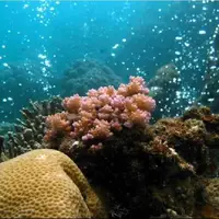 پیش‌بینی آینده با حباب‌های گاز آتشفشانی!