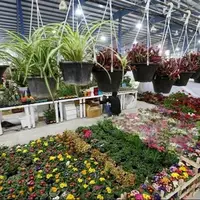 آغاز به‌کار نمایشگاه تخصصی گل و گیاه از امروز در شیراز