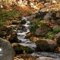 پاوه زیر چتر رنگ‌های پاییزی