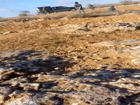 مزاحمت نظامیان اشغالگر اسرائیلی برای کشاورزان فلسطینی