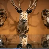 پردیس موزه‌ای رامسر