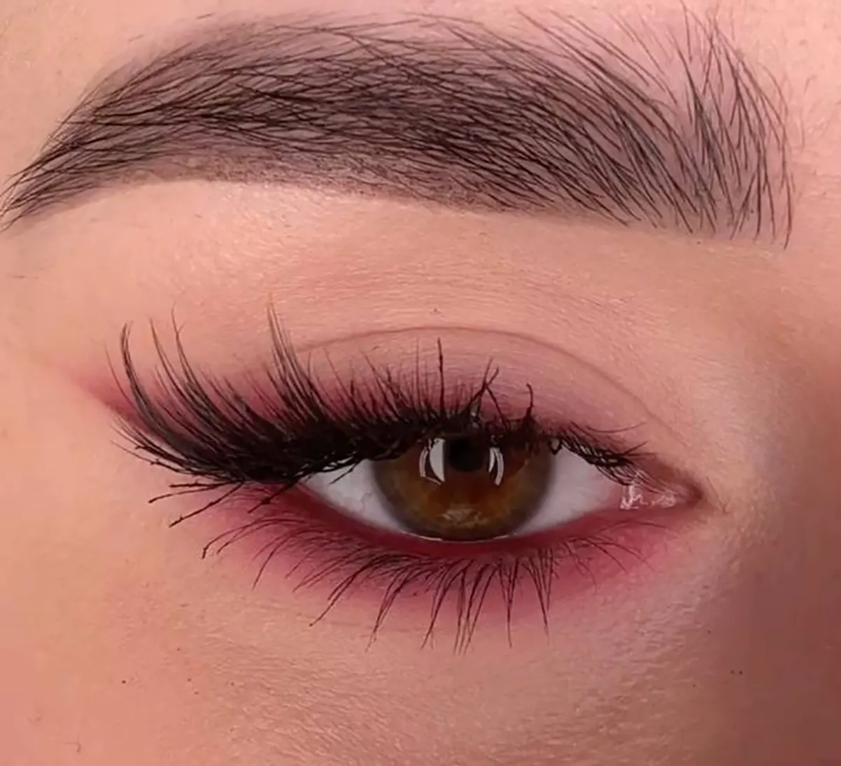 سایه چشم شیک