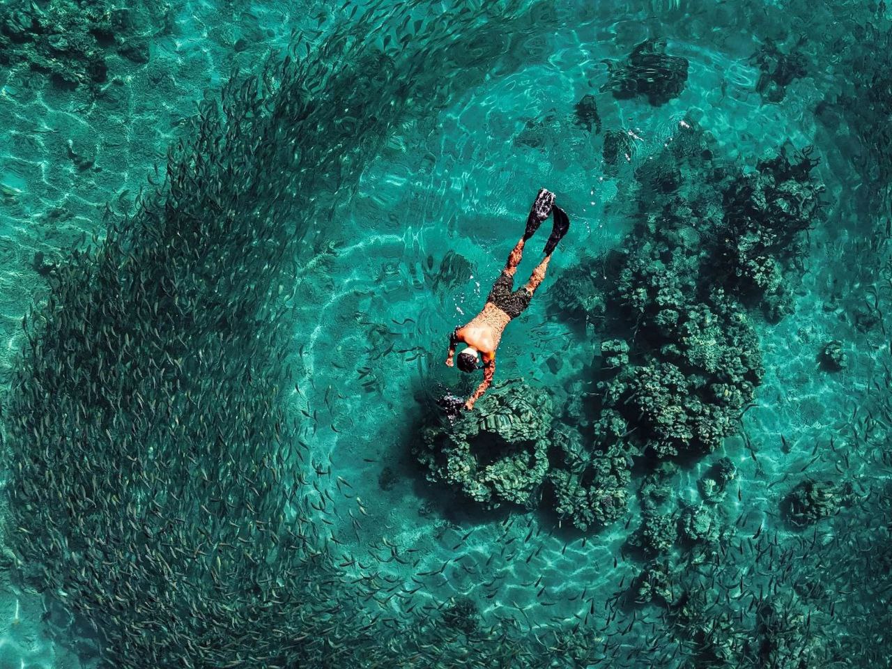 عکس/ برندگان مسابقه عکاسی اقیانوسیه ۲۰۲۵