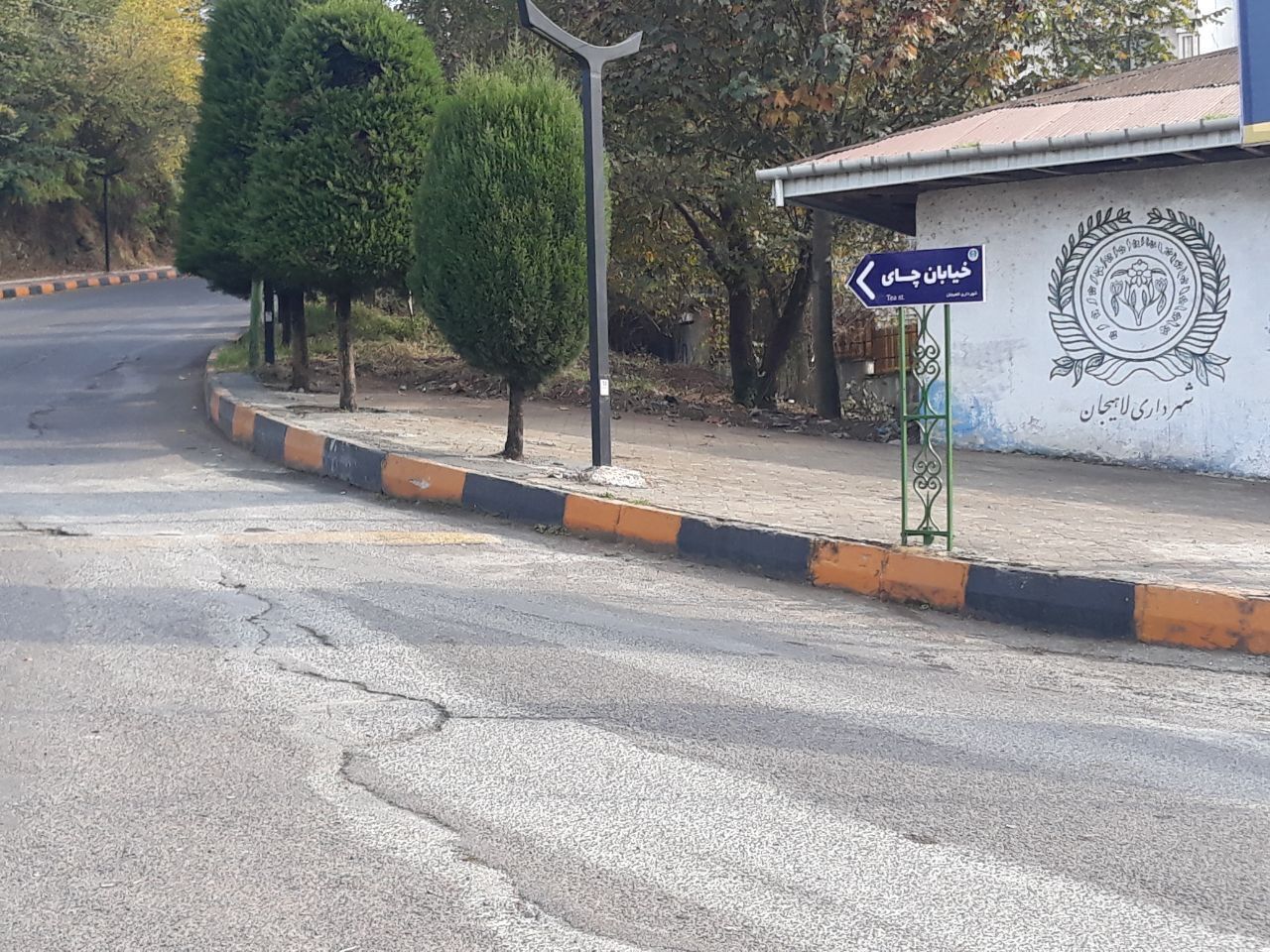 نامگذاری خیابانی در لاهیجان به نام چای