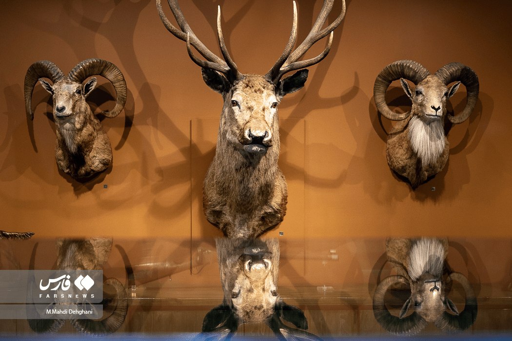 پردیس موزه‌ای رامسر