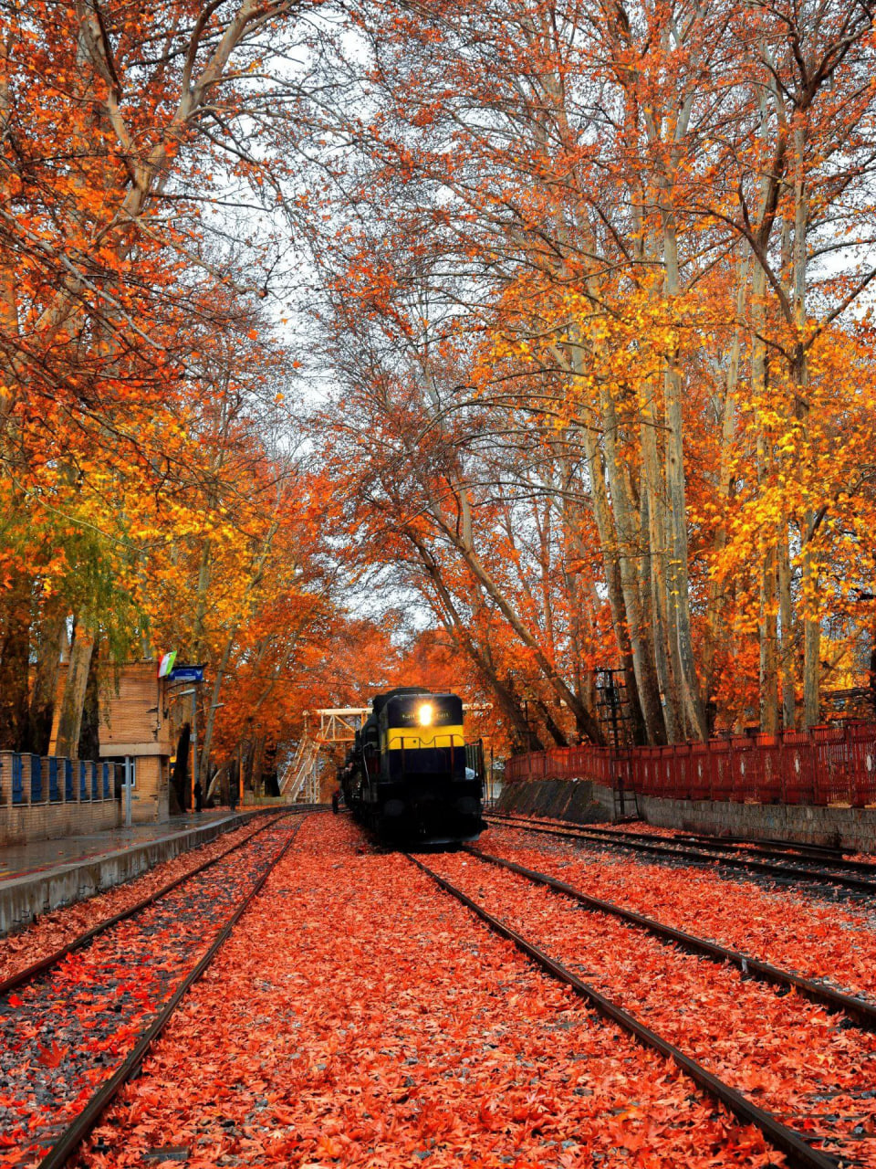  ایستگاه راه آهن بیشه