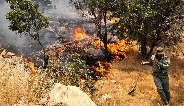 ثبت سالانه ۱۸ هزار آتشسوزی در کشور
