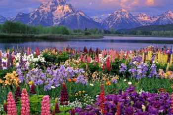 گردشگری/معرفی 10 شهر پر توریست در ایران