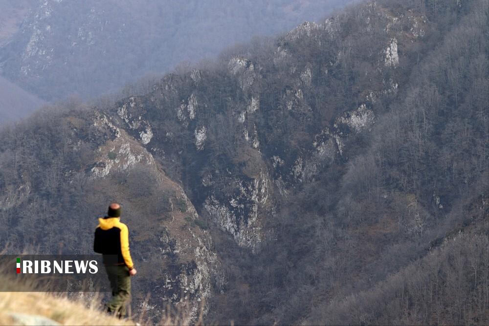 مهار آتش سوزی جنگل های دیزمار قره داغ