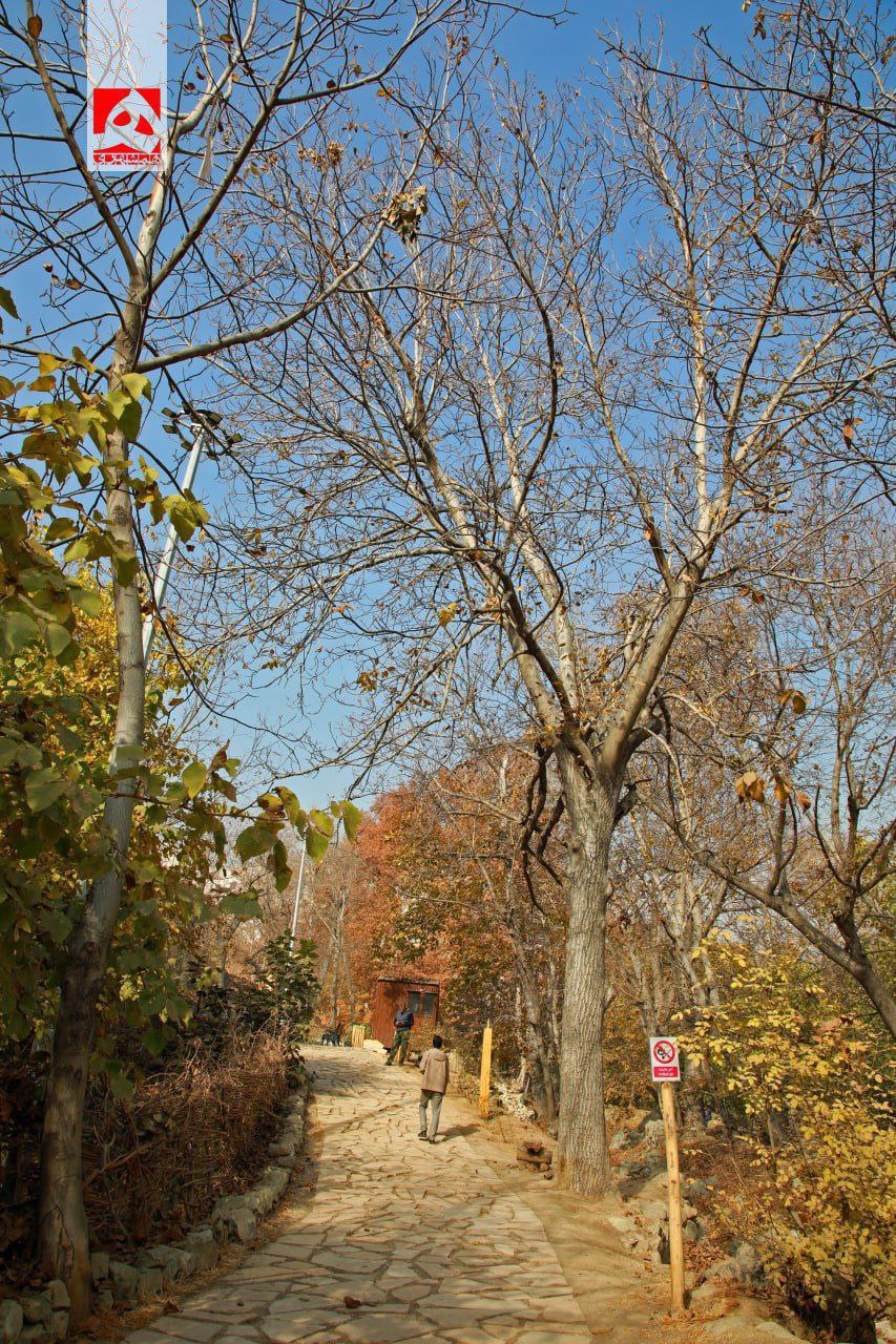 حال و هوای این روزهای رود دره فرحزاد تهران