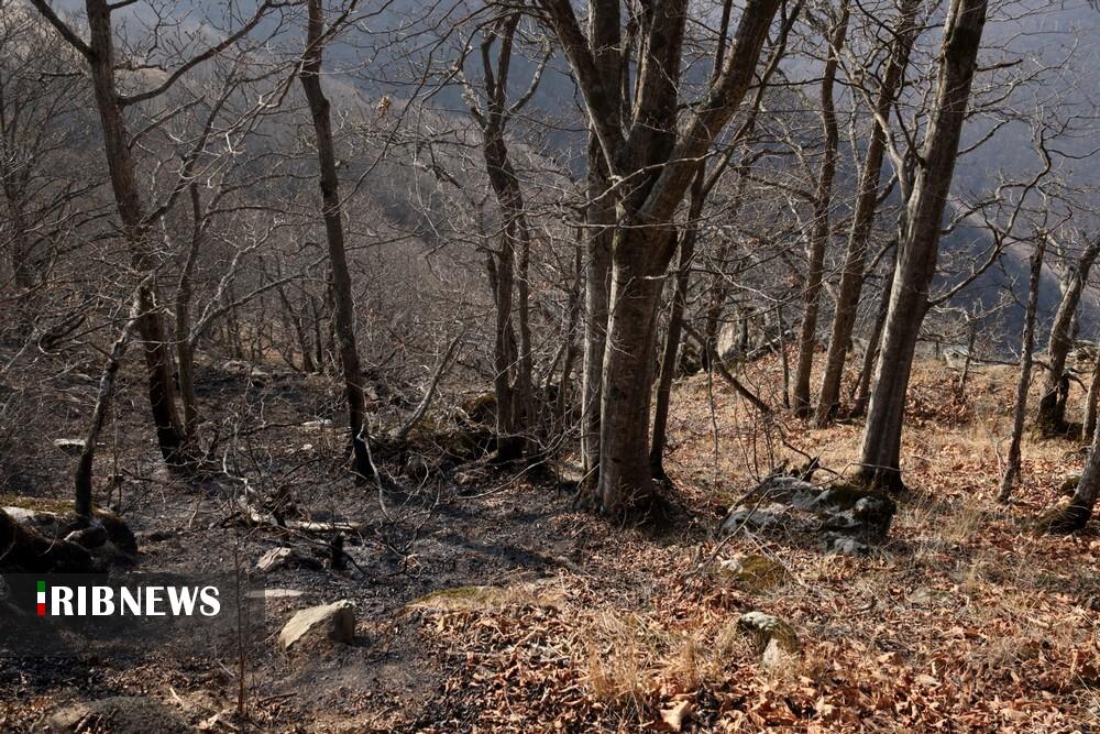 مهار آتش سوزی جنگل های دیزمار قره داغ