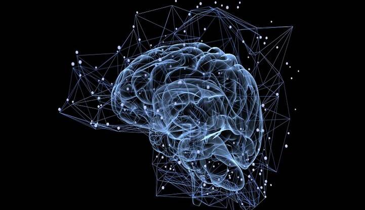 مداری پنهان در مغز دید بصری ما را بازنویسی میکند