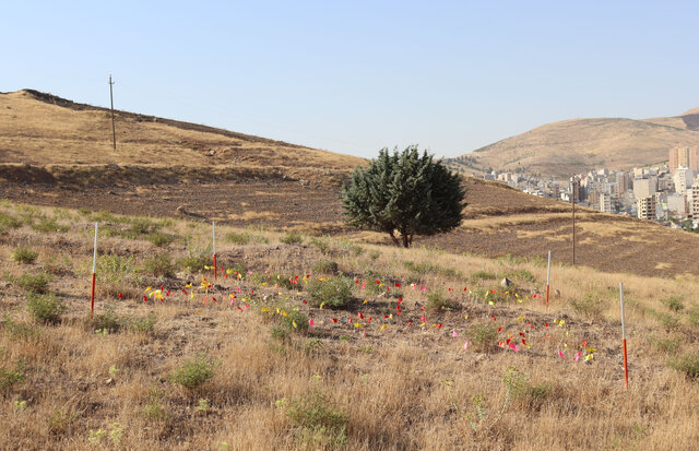 سرنوشت محوطه باستانی یک‌میلیون ساله کرمانشاه چه می‌شود؟