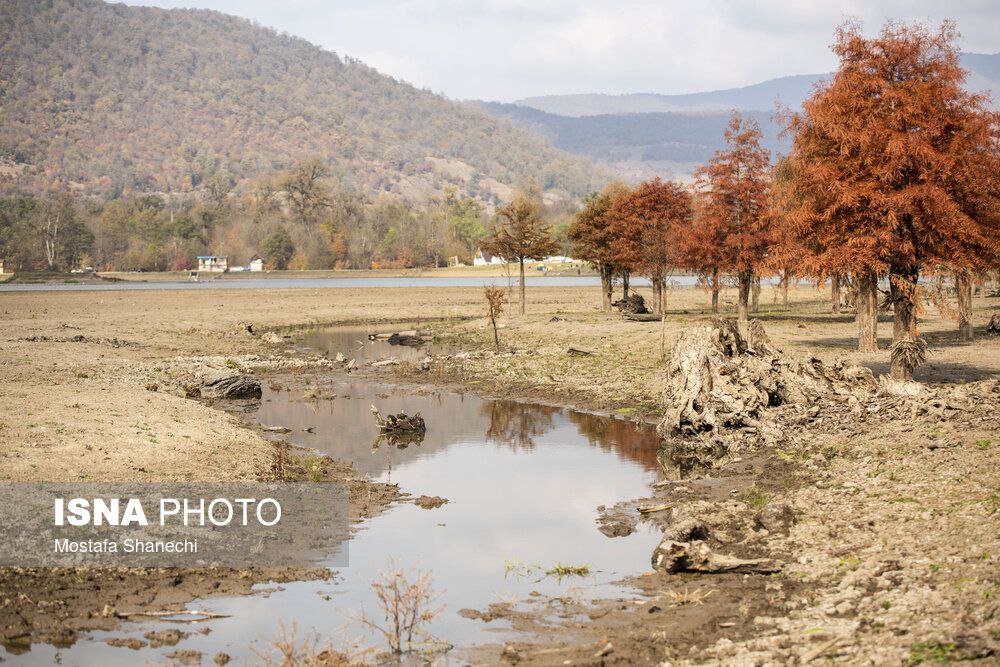 عکس/ پاییز خشک مازندران؛ دریاچه الندان نفس کم می‌آورد!