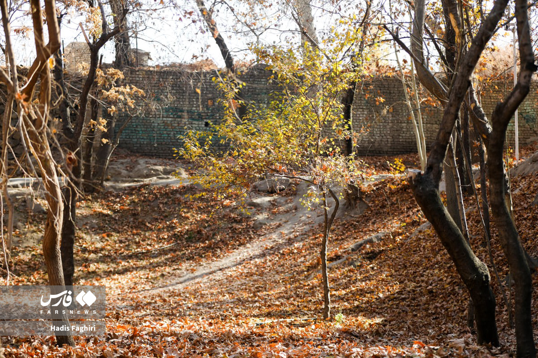 تصاویری از طبیعت پاییزی مشهد