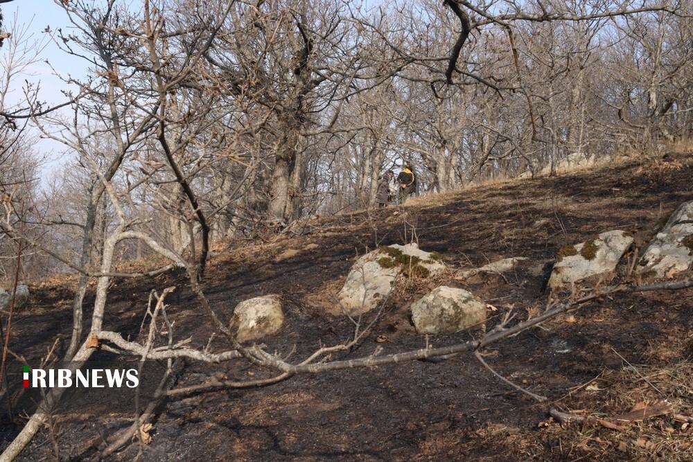 مهار آتش سوزی جنگل های دیزمار قره داغ