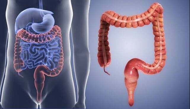 افزایش انسداد گوارشی ناشی از مصرف بیرویه «انار» و «خرمالو» در کودکان