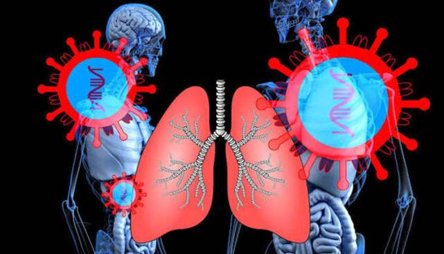 ریه‌های کوچکی که آزمایش درمان‌های سرطان را امکان‌پذیر می‌کنند 