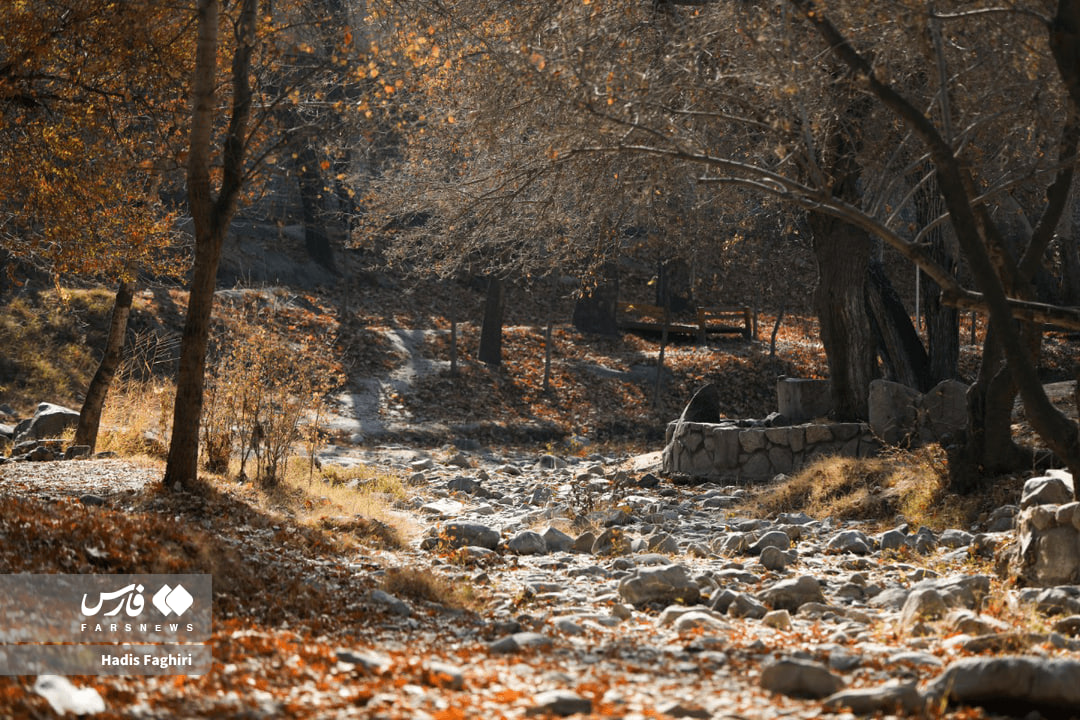 تصاویری از طبیعت پاییزی مشهد