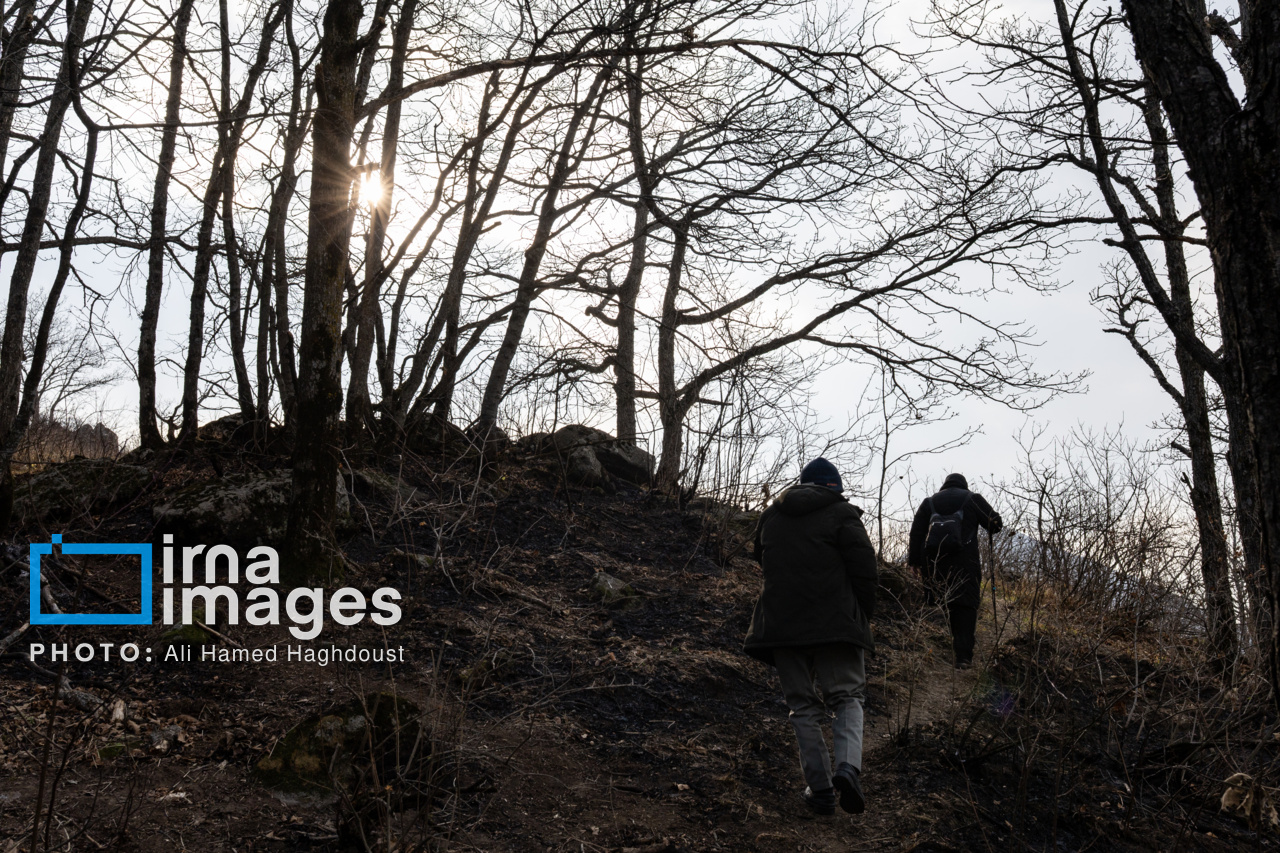 عکس/ سوز و گداز دیزمار