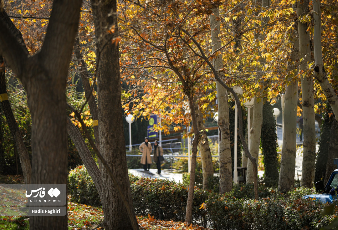 تصاویری از طبیعت پاییزی مشهد