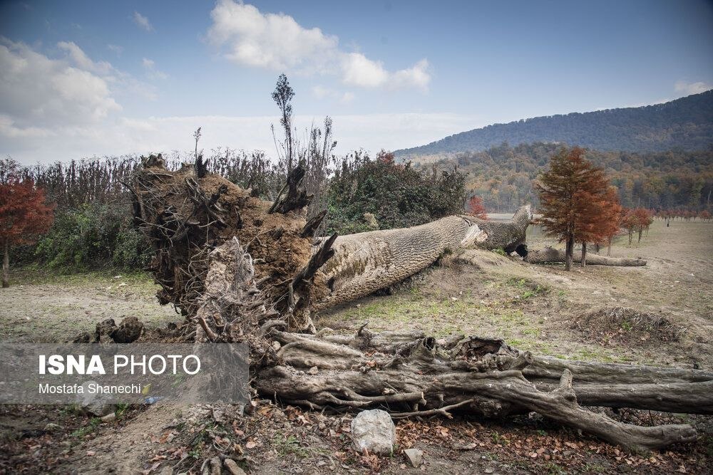 عکس/ پاییز خشک مازندران؛ دریاچه الندان نفس کم می‌آورد!
