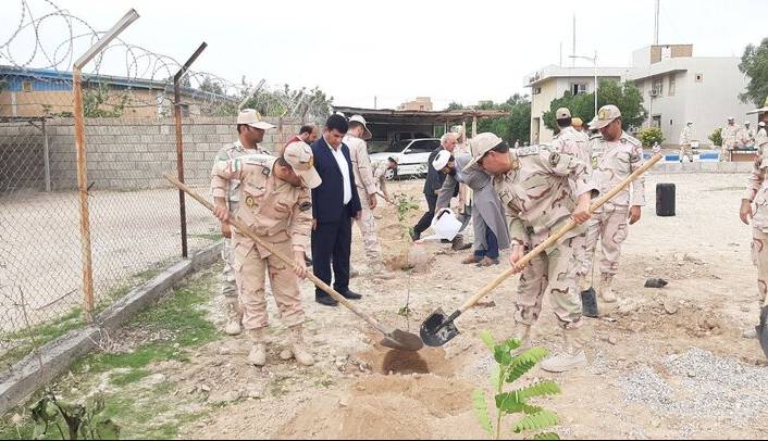 ۵۰۰ درخت در هنگ مرزی دهلران غرس شد