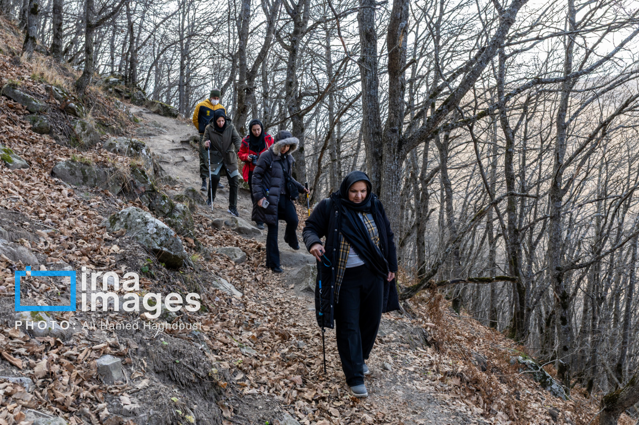 عکس/ سوز و گداز دیزمار